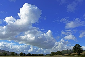 UK Countryside Scenes Impressions: Cornfields, Exe Valley, Devon, England, United Kingdom, Europe