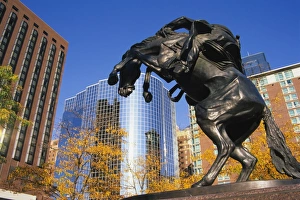 Equestrian Sculpture Art Impressions: Equestrian statue