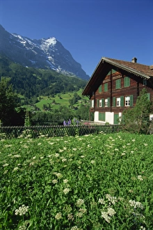 Eiger Mountain View Impressions: Fields and chalets at Grindelwald with the Eiger at 13026ft beyond