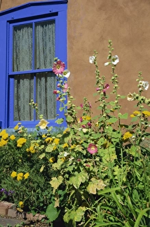 Vertical Landscape Images Impressions: Flower bed and window