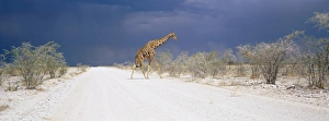 Namibie Impressions: Néant à traduire