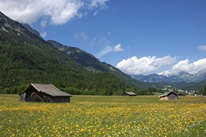 Austrian Countryside Images Impressions: High summer pasture, Sonnenterrase area, Austria, Europe
