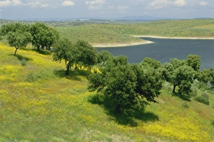 Extremadura Landscape Impressions: Landscape of fields