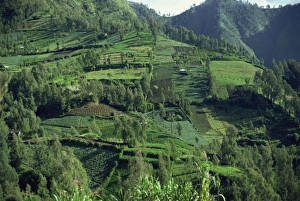Indonesia Landscape Photography Impressions: Landscape in Mount Bromo region, Java, Indonesia, Southeast Asia, Asia
