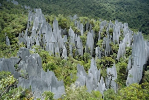 Images datées du 5 août 2008: Les sommets de calcaire sur le mont Api.