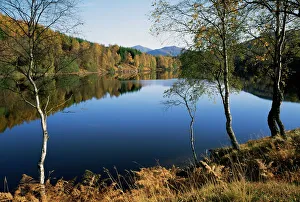 Lac Impressions: Le lac Tumel