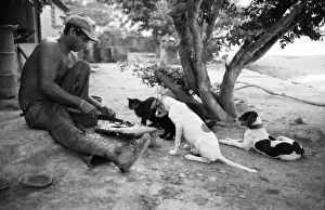 Impressions de Un homme prépare le petit déjeuner entouré de chiens et d'un chat à Medina en Venezuela dans l'Amérique du Sud Venezuela Impressions: Le homme prépare le petit déjeuner