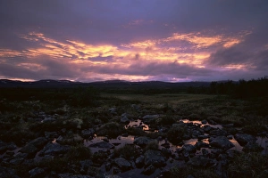 Sunset In Norway Impressions: Marsh at sunset