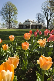 Thomas Jefferson House Impressions: mcs0131