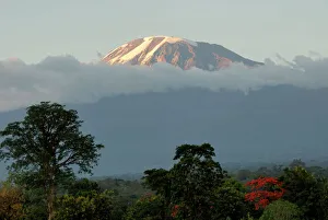 Montagne du Kilimandjaro, site du patrimoine mondial de lUNESCO en Tanzanie dans le continent africain