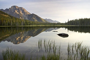 Mount Moran Reflection Impressions: Mount Moran reflected in String Lake