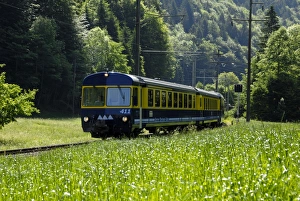 Rural Switzerland Landscape Impressions: Mountain train