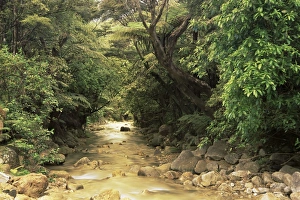 Serene Mountain Scenery Impressions: Mountains stream