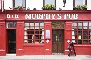 Impressions de Le pub Murphys à Dingle dans le comté de Kerry en Irlande républicaine au sein du pays européen République D'Irlande Impressions: Le pub Murphy's à Dingle dans le comté de Kerry au Munster en République d'Irlande en Europe