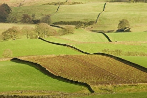 Cumbria Landscape Impressions: Patchwork of fields, lower slopes of Pennines, Eden Valley, Cumbria, England
