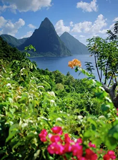 Impressions de Les pitons de Saint-Lucie dans les Indes-Occidentales Images datées de 2008 septembre: Les pitons de Saint Lucie