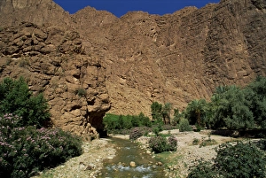 Contemporary Landscape Photography Impressions: River below rock cliffs