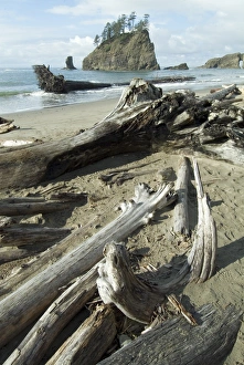 World Heritage Site USA Impressions: Second Beach