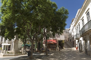 Portugal Street Scene Impressions: A shady square