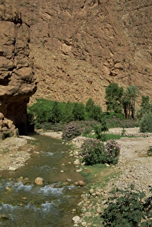 Travel Photography In Morocco Impressions: Small river below rock cliffs
