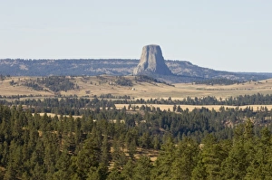 Devils Tower National Monument Impressions: SP021925