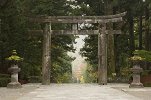 Japanese Shrines And Temples Impressions: Stone Torii