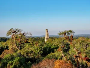 Ancient Maya Civilization Impressions: Sunset view of Temple III from elevated position, showcasing Tikal in Peten, Guatemala