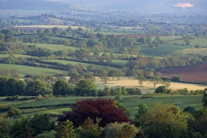 Uk Rural Scenery Impressions: Typical patchwork fields, Dorset, England, United Kingdom, Europe