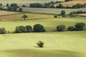 La vallée dEvesham depuis la crête principale des collines de Malvern, Worcestershire
