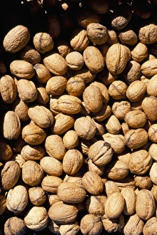 Walnut Photography Impressions: Walnuts