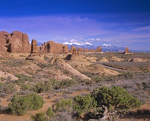 Desert Mountain Range View Impressions: The Windows section