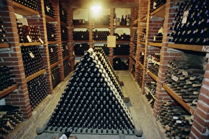 Tuscany Wine Region Impressions: Wine cellar