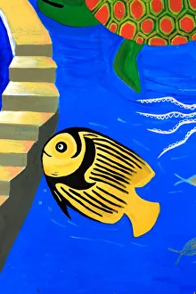 Tropical Fish Photos Impressions: Fish on steps
