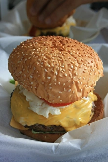 Juicy Hamburger Impressions: Hamburger