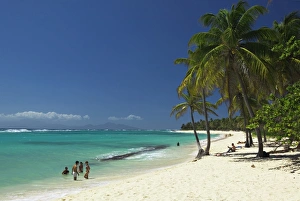 Island Hopping In The Caribbean Impressions: Capesterre