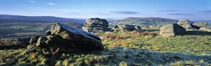 Le Dartmoor, le Devon