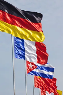 National Flags Impressions: Flags