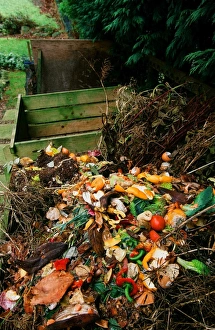 Gardening Tips Impressions: A compost heap