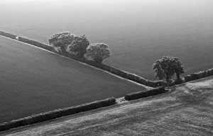 Geometric Patterns In Nature Impressions: 005731