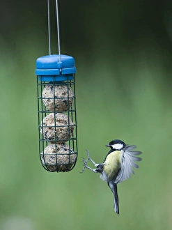 David Tipling Images Impressions: 005987