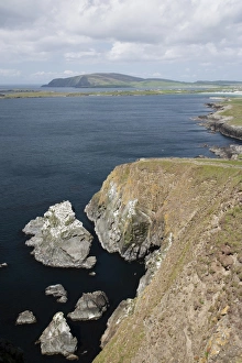 Shetland Islands Coastline Impressions: View of coastline with sea stack and cliffs