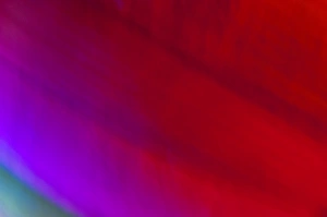 Colorful Backgrounds Impressions: Abstract Light Pattern
