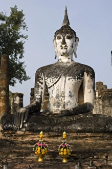 Impressions de Buddhas Images datées de 2007 novembre: Buddhas