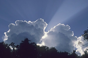 Cloudy Weather Impressions: Clouds