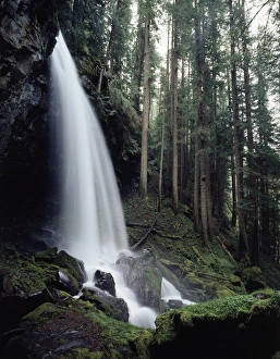 Oregon Waterfall Impressions: CTF-1007
