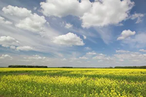 Central European Landscapes Impressions: Lithuania, Central