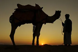 Sunset In The Desert Impressions: a man and his camel