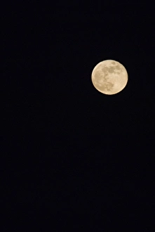 Full Moon Impressions: Full Moon
