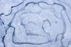 Winter Ice Formations Impressions: Patterns in a frozen puddle