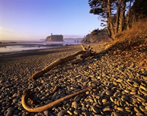 Olympic Peninsula Nature Impressions: WA, Olympic NP, Ruby Beach